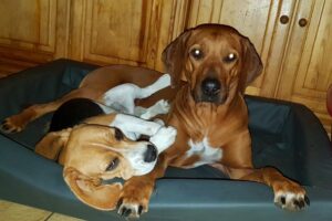 Best friends