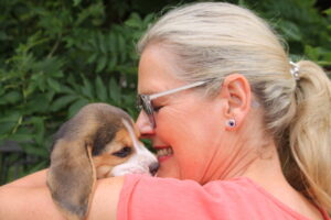 Süßes Beaglekind